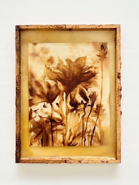 Alessandra Scalora | House of Honey Studio