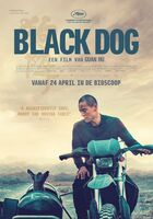 Black Dog