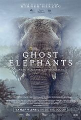 Ghost Elephants
