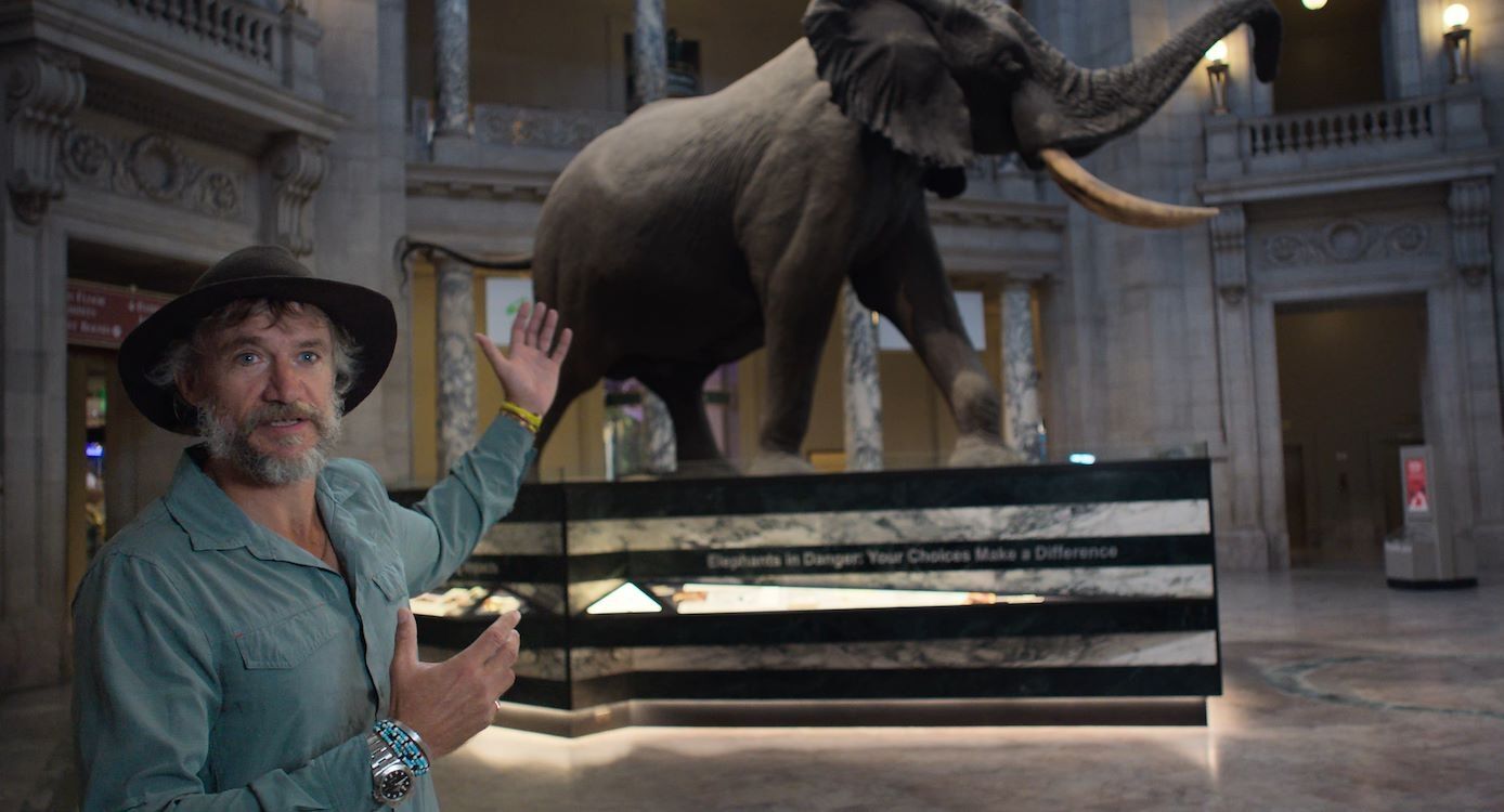 Ghost Elephants