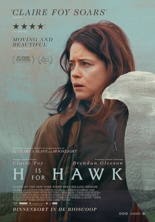 H Is For Hawk