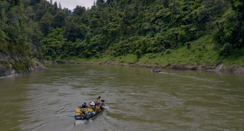 I Am the River, The River is Me - IVN goes to the movies