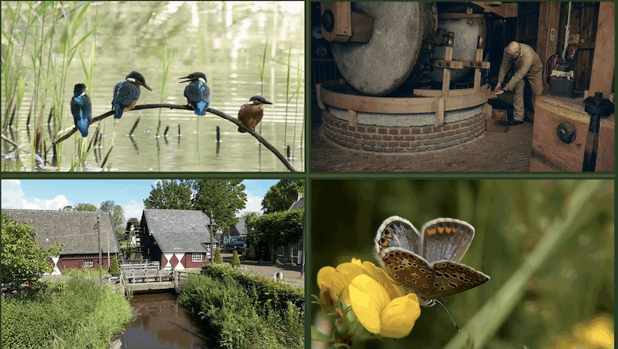 Kleine Dommel, levensader voor Oost-Brabant