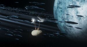 Natuur: Dandelion's Odyssey