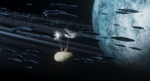 Natuur: Dandelion's Odyssey