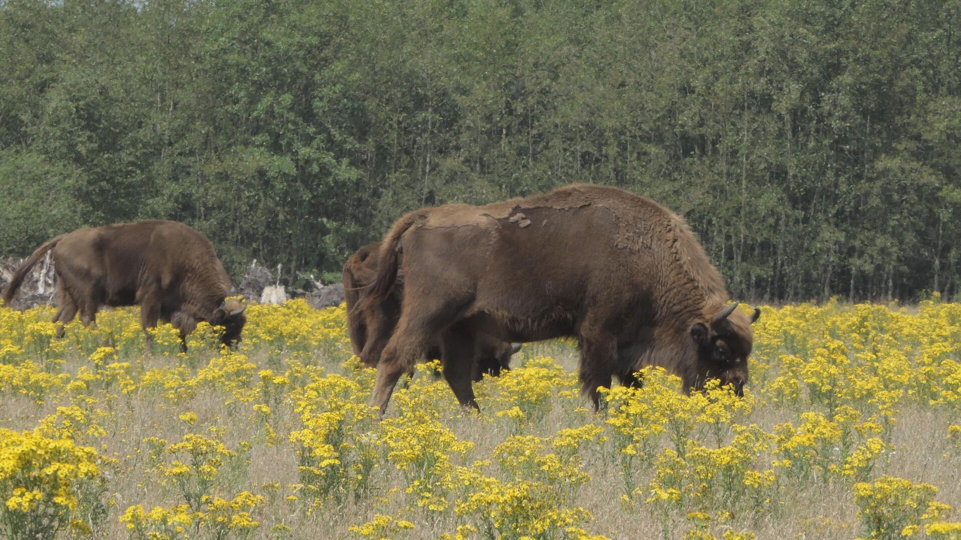 Natuurlijk Brabant