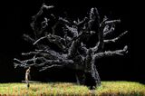 RBO 26/27: Götterdämmerung