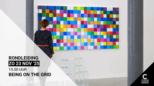 Rondleiding door kunstenaars Being on the Grid